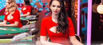 73 bet com